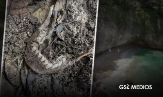 Hallan mandíbula humana en playa Paredón de Puerto Vallarta