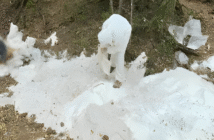 Nuevo golpe al narco con aseguramiento de laboratorio clandestino en Sinaloa