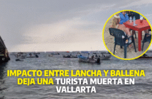 Turista fallece tras presunto choque de lancha contra una ballena en Puerto Vallarta