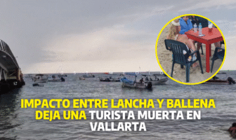 Turista fallece tras presunto choque de lancha contra una ballena en Puerto Vallarta