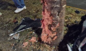 Notiespacio PV | Destroza su vehículo contra una palmera en la avenida México y huye del lugar