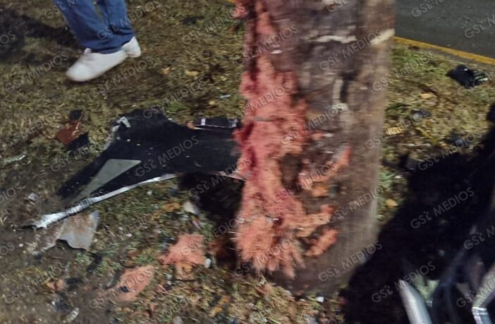 Notiespacio PV | Destroza su vehículo contra una palmera en la avenida México y huye del lugar