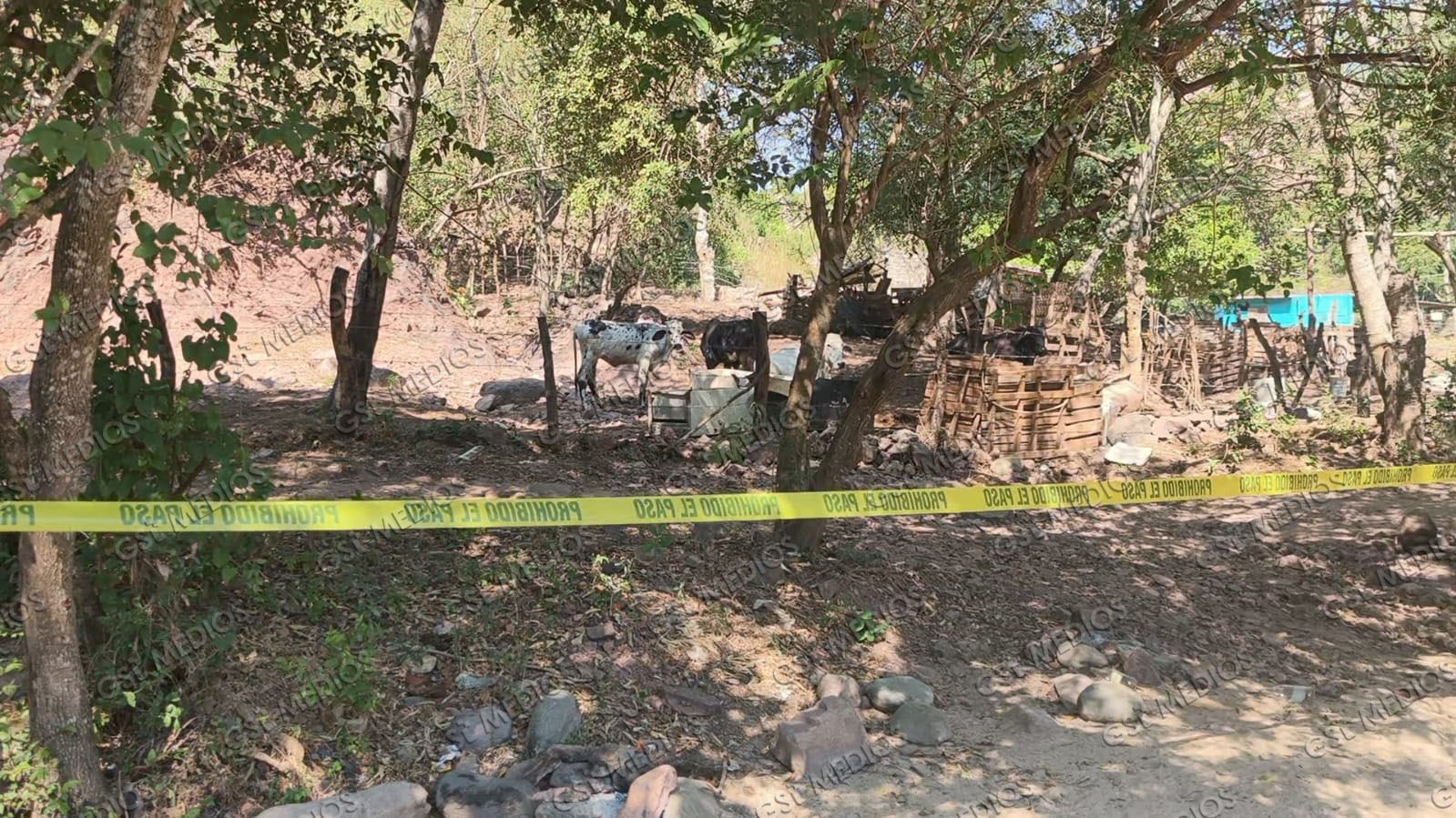Localizan persona sin vida en Playa Grande tras más de 12 horas de reportes Localizan persona sin vida en Playa Grande tras más de 12 horas de reportes
