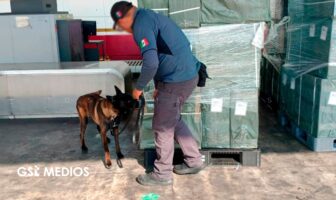 Notiespacio PV | Aseguran casi 20 toneladas de tabaco ilegal en el AICM