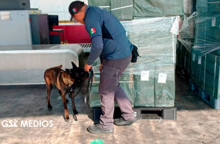 Notiespacio PV | Aseguran casi 20 toneladas de tabaco ilegal en el AICM