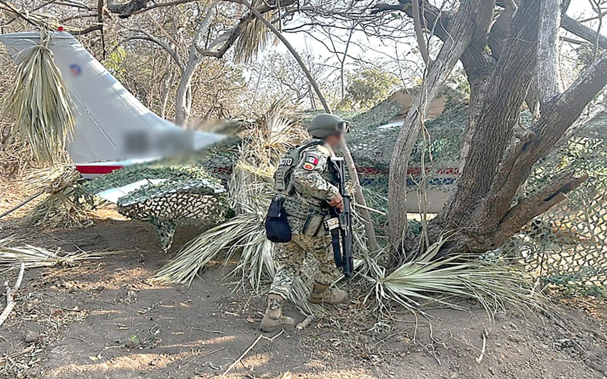 Decomisan avioneta con más de media tonelada de cocaína en Oaxaca