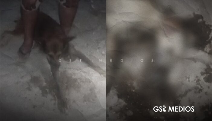 Vecinos denuncian envenenamiento de perros en San Esteban