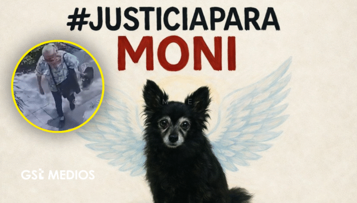 Acusada por matar una perrita busca acuerdo para cerrar juicio