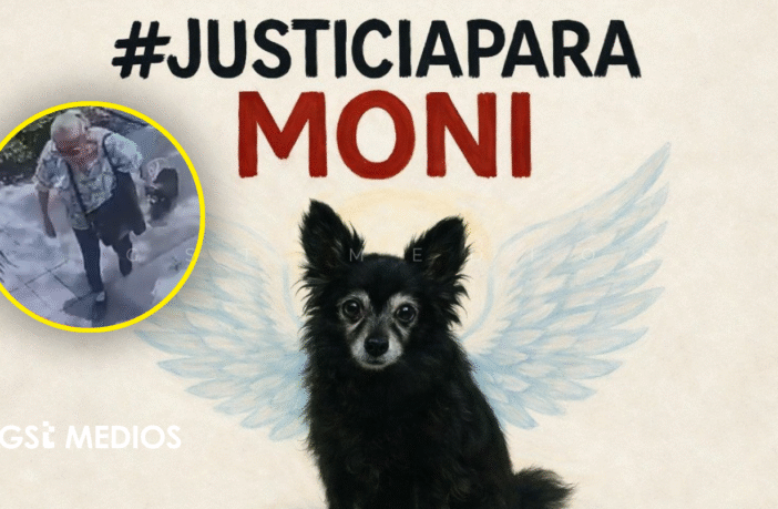 Notiespacio PV | Acusada por matar una perrita busca acuerdo para cerrar juicio