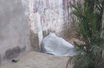 Notiespacio PV | Localizan sin vida a un hombre en la colonia Los Tamarindos de Ixtapa