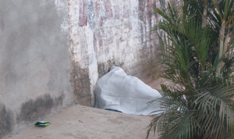 Notiespacio PV | Localizan sin vida a un hombre en la colonia Los Tamarindos de Ixtapa