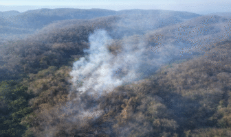 Continúan los trabajos para sofocar el incendio en Bahía de Banderas