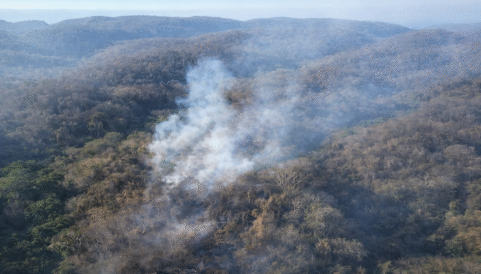 Continúan los trabajos para sofocar el incendio en Bahía de Banderas Continúan los trabajos para sofocar el incendio en Bahía de Banderas