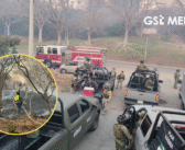 Incendios forestales en Bahía de Banderas movilizan a 200 brigadistas; descartan evacuaciones