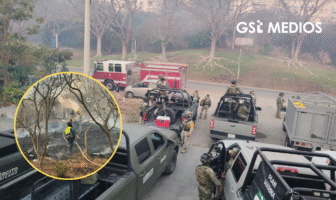 Incendios forestales en Bahía de Banderas movilizan a 200 brigadistas; descartan evacuaciones