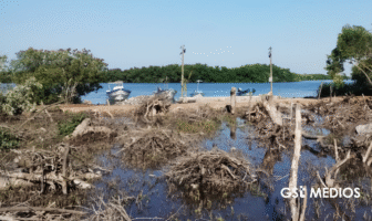 Notiespacio PV | Profepa denuncia ante FGR destrucción de manglares en San Blas