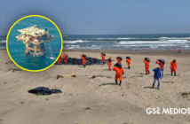 Notiespacio PV | Retiran toneladas de residuos contaminados en costas del Golfo