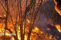 Notiespacio PV | Reportan 95% de contención de incendio en La Cruz de Huanacaxtle