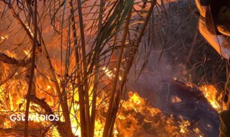 Notiespacio PV | Reportan 95% de contención de incendio en La Cruz de Huanacaxtle