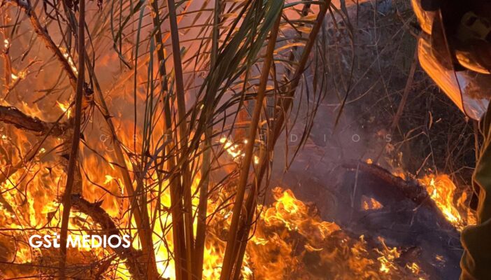 Reportan 95% de contención de incendio en La Cruz de Huanacaxtle
