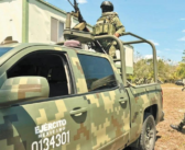 Puerto Vallarta: detienen a 6 personas y aseguran armamento en operativo federal