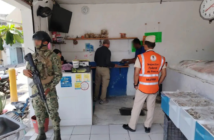 Aseguran 228 kilos de producto marino ilegal en Puerto Vallarta