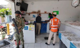 Aseguran 228 kilos de producto marino ilegal en Puerto Vallarta