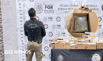 Decomisan más de cinco kilos de marihuana en empresa de paquetería en la ZMG