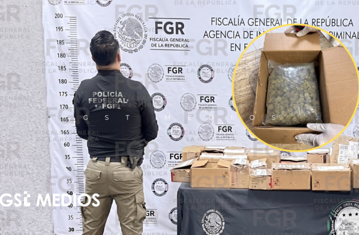Decomisan más de cinco kilos de marihuana en empresa de paquetería en la ZMG
