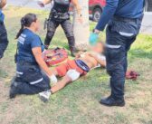 Se “comió” la curva y terminó impactando contra una palmera en Fluvial Vallarta