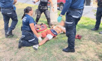 Se "comió" la curva y terminó impactando contra una palmera en Fluvial Vallarta