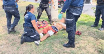 Se “comió” la curva y terminó impactando contra una palmera en Fluvial Vallarta