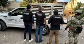 Maltrato animal en Tlaquepaque: rescatan a Pastor Belga y detienen a su dueño