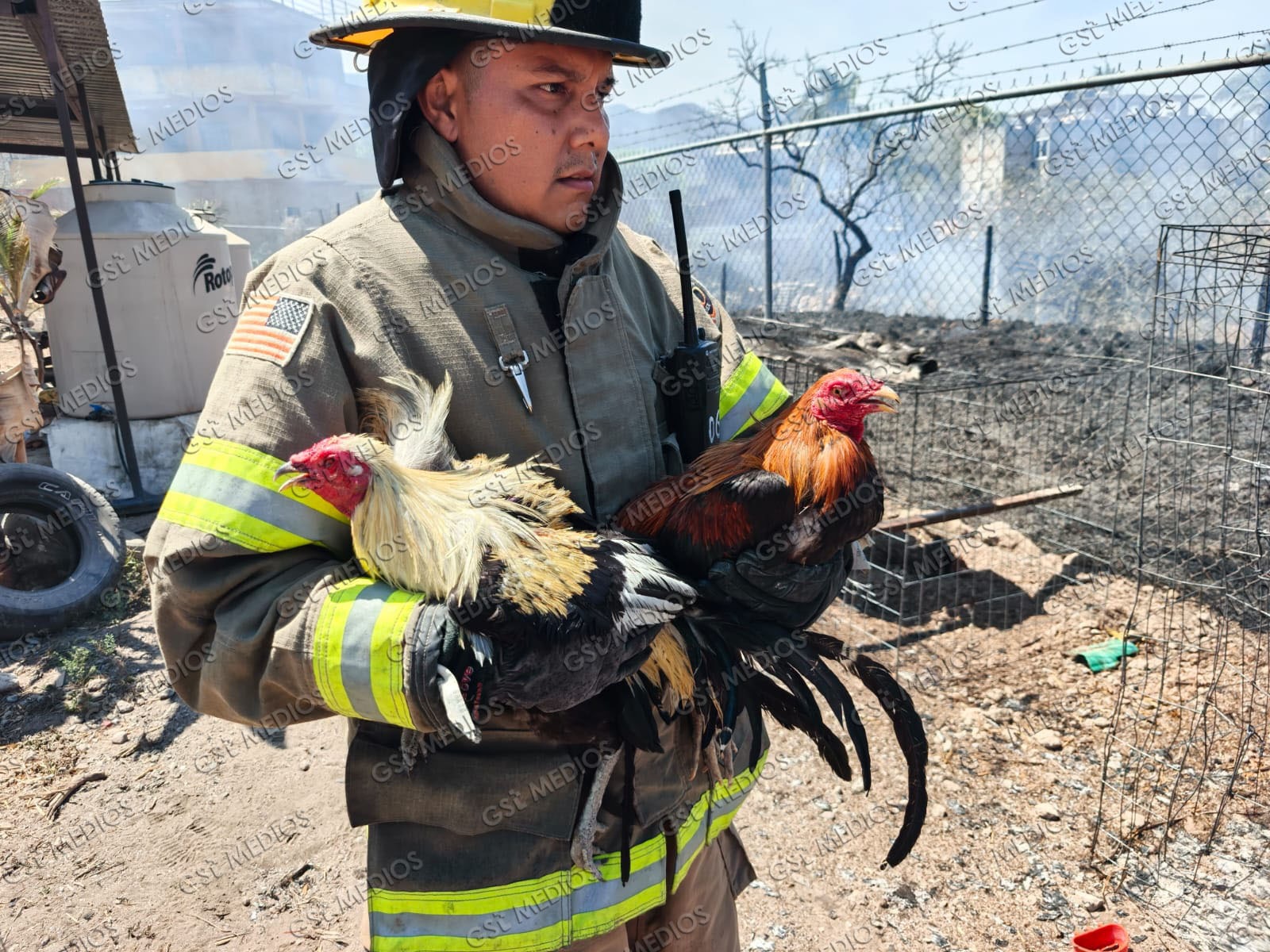 Incendio en pastizal deja seis gallos muertos en la zona alta de El Pitillal