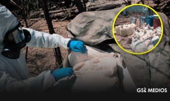 Aseguran tres narcolaboratorios en Sinaloa y decomisan cuatro toneladas de droga