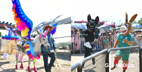 Los burritos tienen su propia feria: EDOMEX celebra la Feria Nacional del Burro 2026