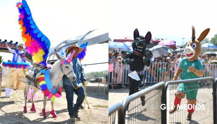 Los burritos tienen su propia feria: EDOMEX celebra la Feria Nacional del Burro 2026