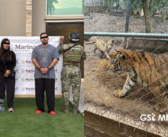 Cae líder de facción del Cártel del Noroeste; aseguran armas, vehículos y siete tigres