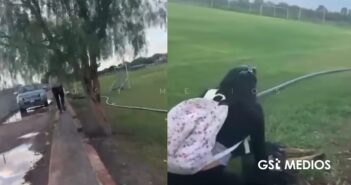 Indignación en San Luis Potosí: hombre dispara a dos perros sin motivo