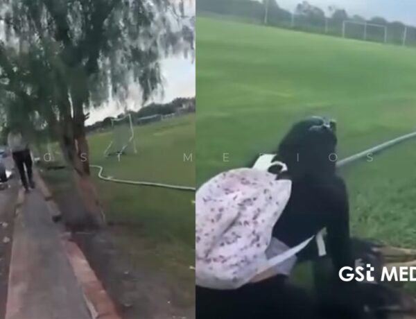 Indignación en San Luis Potosí: hombre dispara a dos perros sin motivo