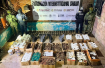 Decomisan 550 artefactos explosivos en Sinaloa durante operativo de seguridad
