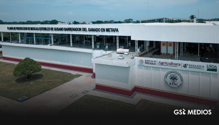 Inauguran en Chiapas planta de moscas estériles para combatir el gusano barrenador