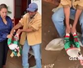 Acusan a alcaldesa de Quiroga por presunto maltrato animal a un pato tras video viral