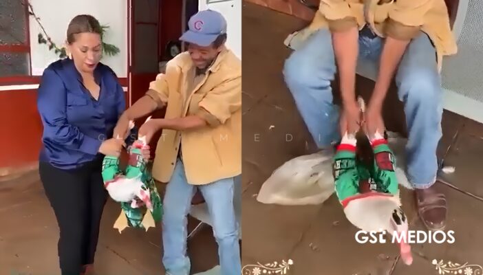 Acusan a alcaldesa de Quiroga por presunto maltrato animal a un pato tras video viral