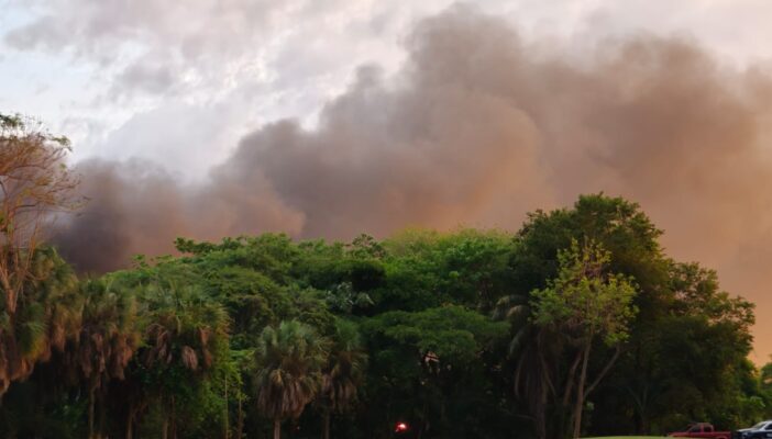 Voraz incendio consume bodega en Vista Vallarta; no se reportan lesionados