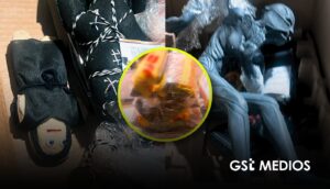 Aseguran semillas de cannabis ocultas en muñecos en Guadalajara