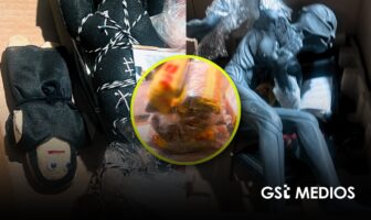 Aseguran semillas de cannabis ocultas en muñecos en Guadalajara