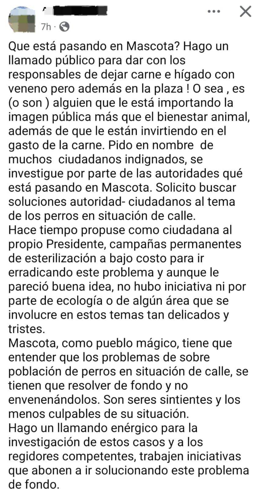 Denuncian presunto envenenamiento de perros en Mascota; piden investigación