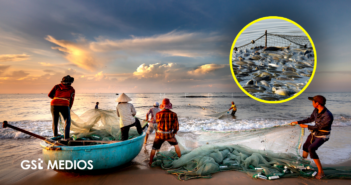Conapesca retiene 462 toneladas de pesca ilegal durante junio en 19 estados