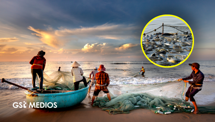 Conapesca retiene 462 toneladas de pesca ilegal durante junio en 19 estados